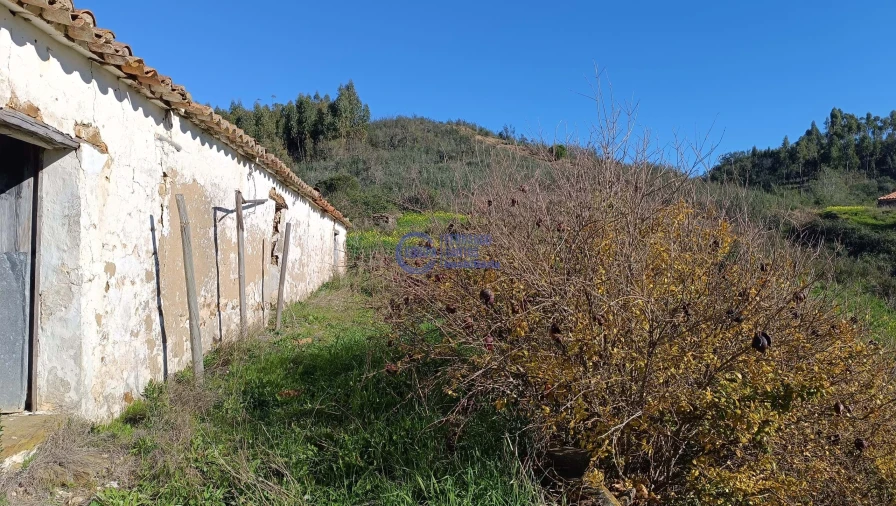Terreno para Venda em Santana da Serra Foto 14