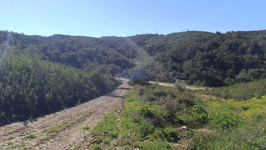 Terreno para Venda em Santana da Serra Foto 17