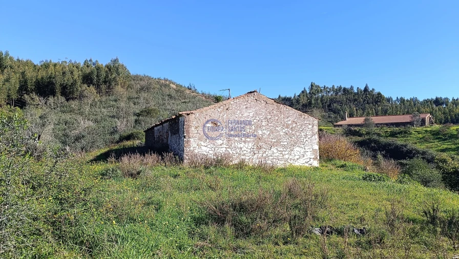 Terreno para Venda em Santana da Serra Foto 4