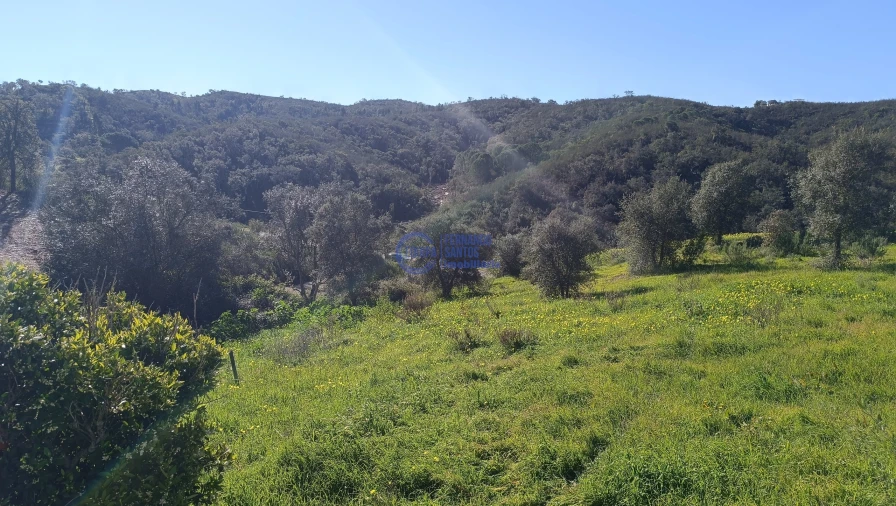 Terreno para Venda em Santana da Serra Foto 15