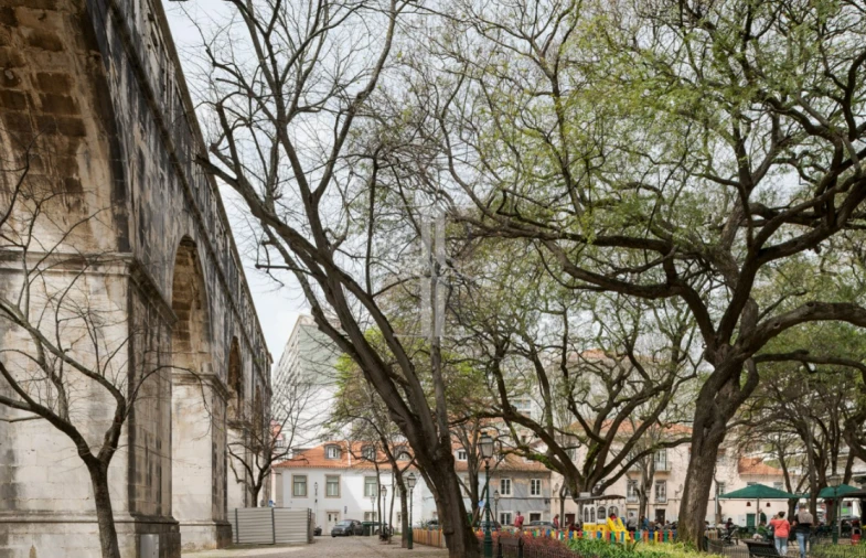 Negócio para Venda em Santo António Foto 8