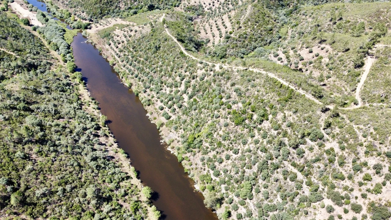 Terreno Agricola ou Rústico para Venda em Sarzedas Foto 5