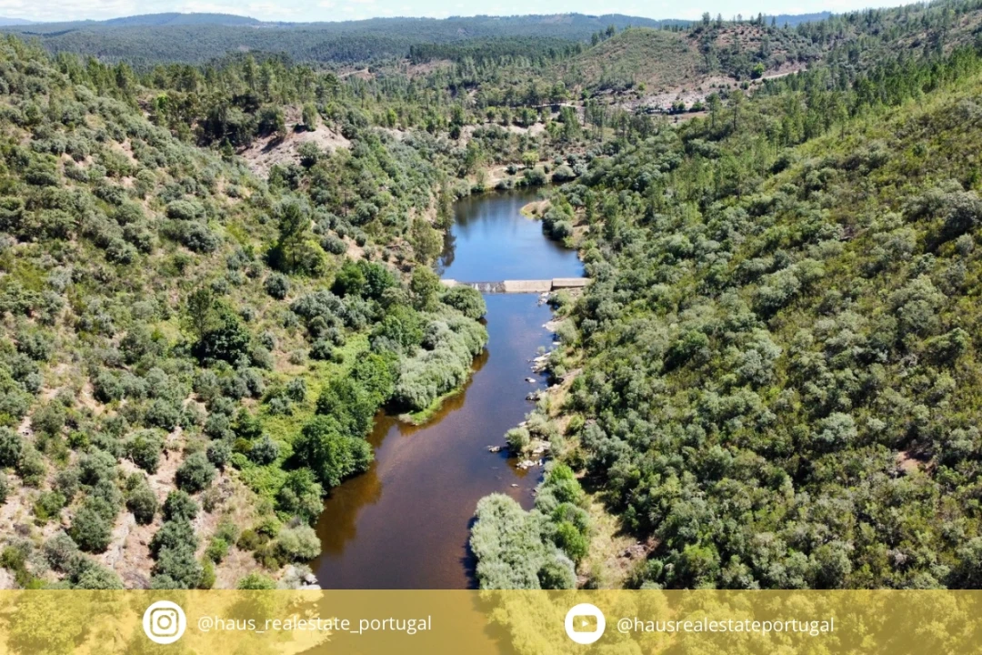 Terreno Agricola ou Rústico para Venda em Sarzedas Foto 1