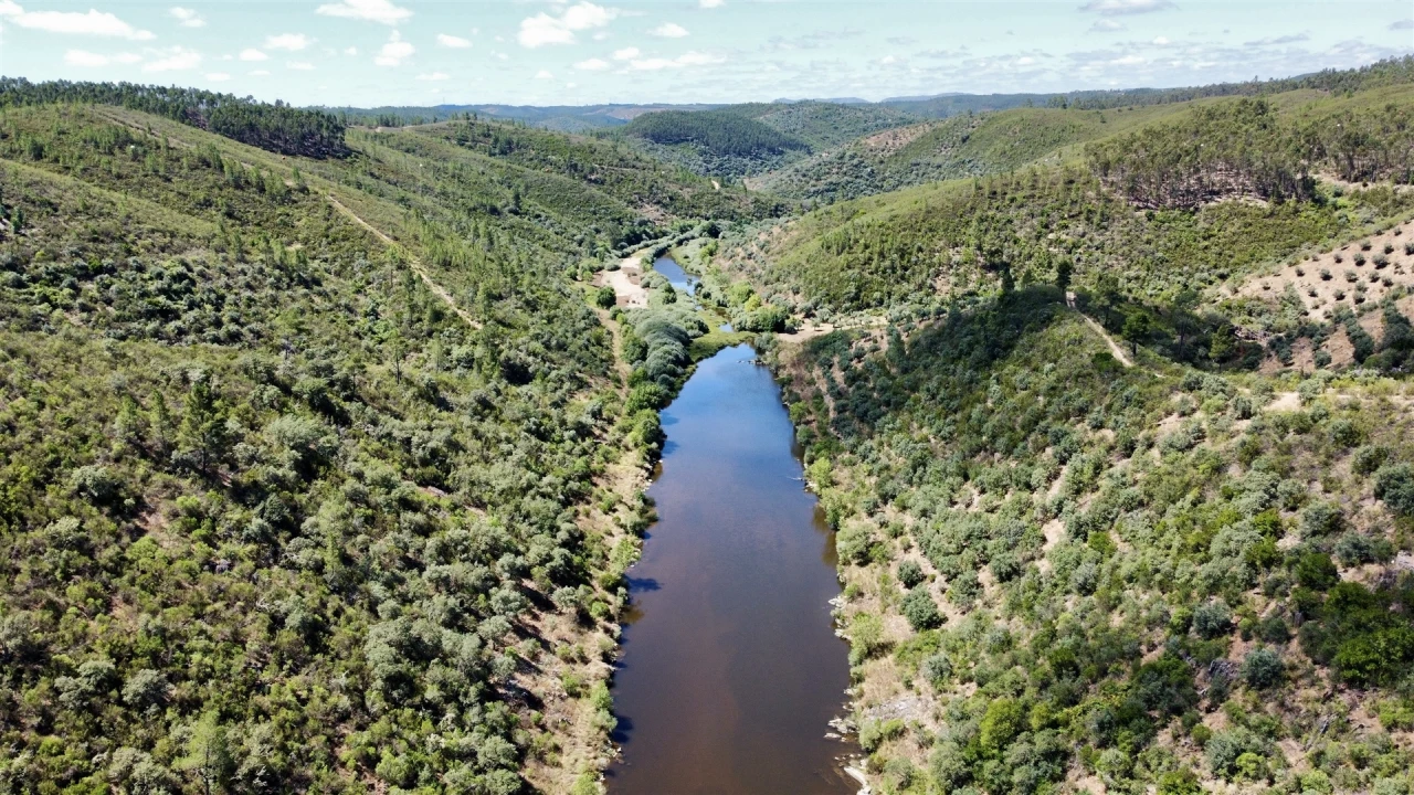 Terreno Agricola ou Rústico para Venda em Sarzedas Foto 6