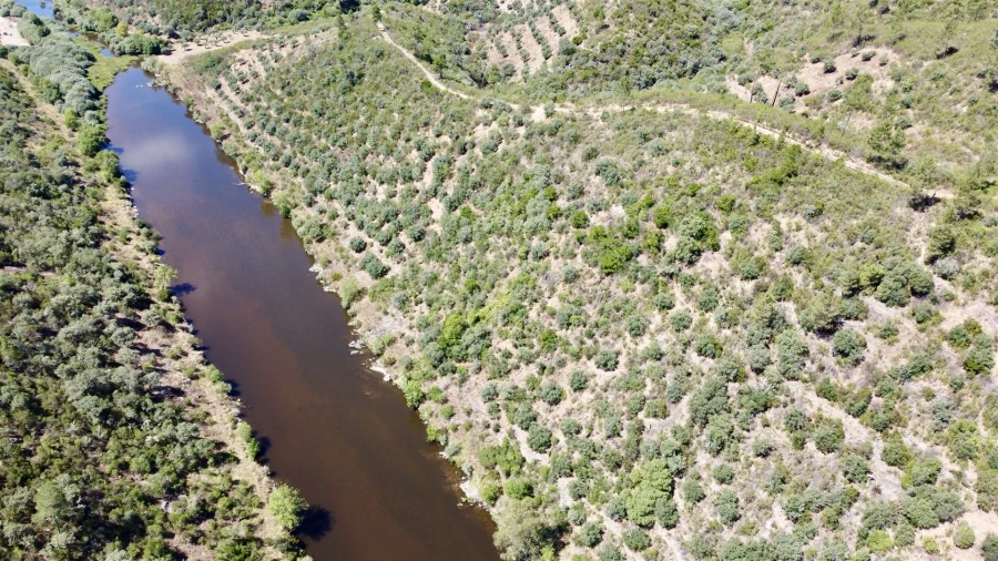 Terreno Agricola ou Rústico para Venda em Sarzedas Foto 4
