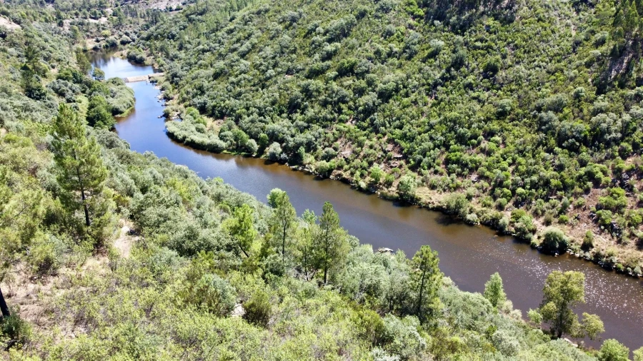 Terreno Agricola ou Rústico para Venda em Sarzedas Foto 2