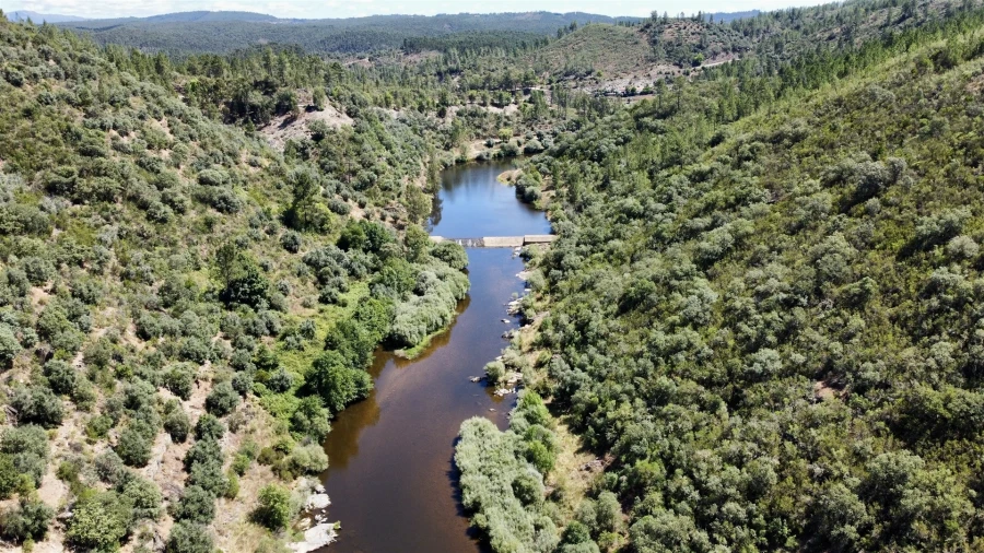 Terreno Agricola ou Rústico para Venda em Sarzedas Foto 7