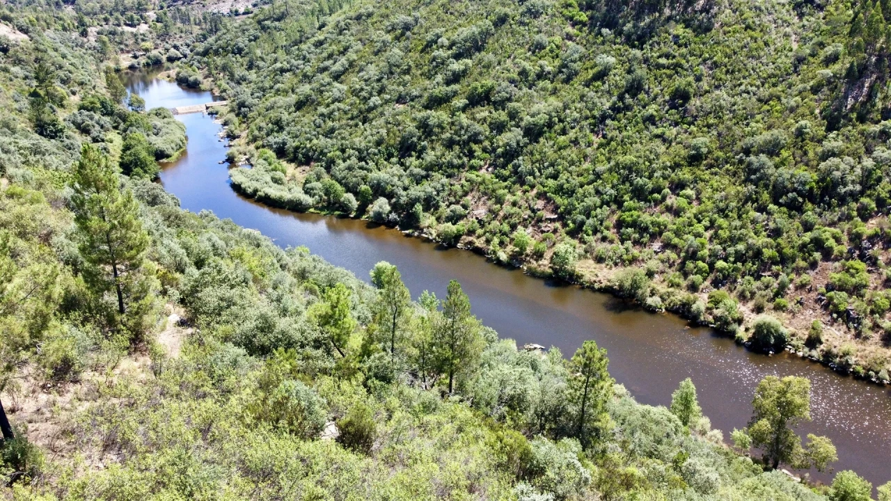 Terreno Agricola ou Rústico para Venda em Sarzedas Foto 2