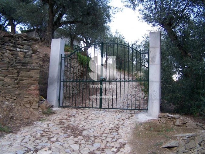 Quinta para Venda em Covas do Douro Foto 7