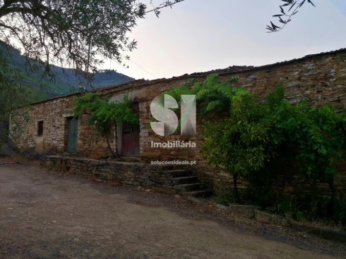 Quinta para Venda em Covas do Douro Foto 13