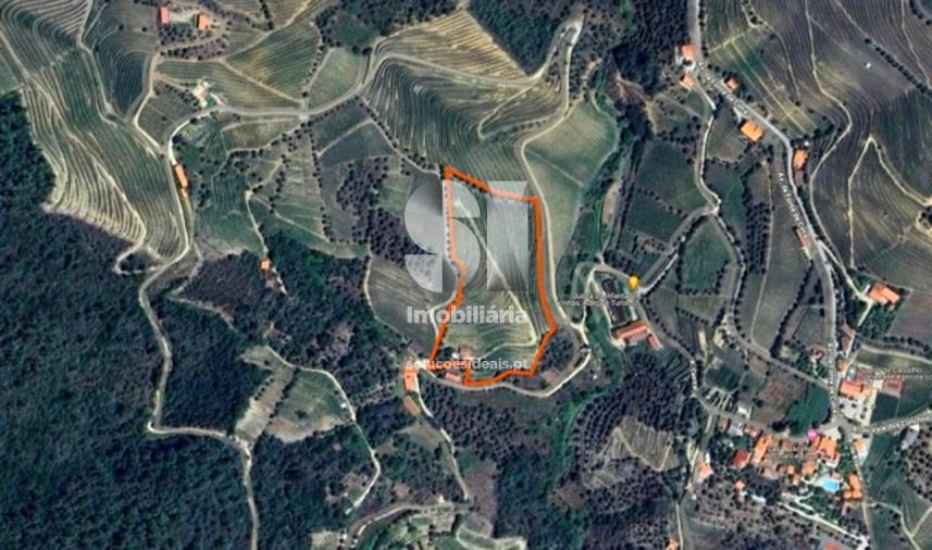 Quinta para Venda em Covas do Douro Foto 16