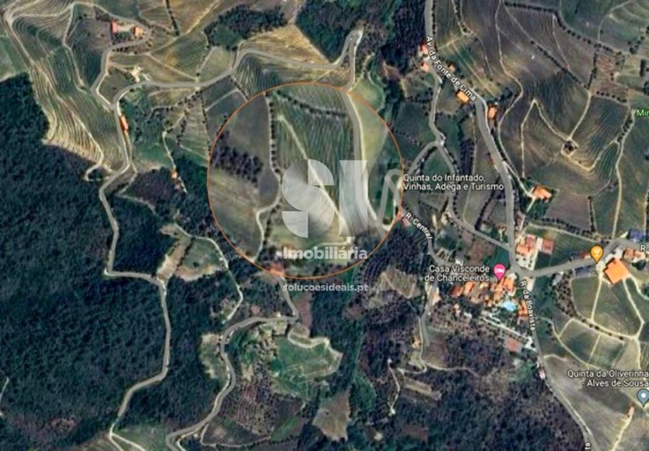 Quinta para Venda em Covas do Douro Foto 18