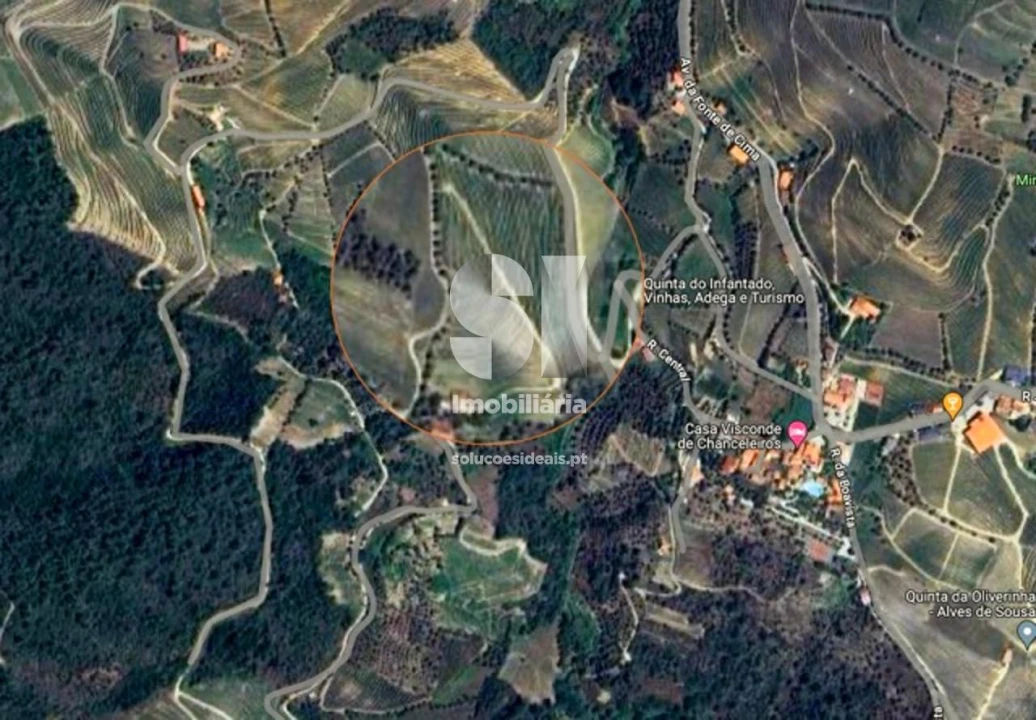 Quinta para Venda em Covas do Douro Foto 18