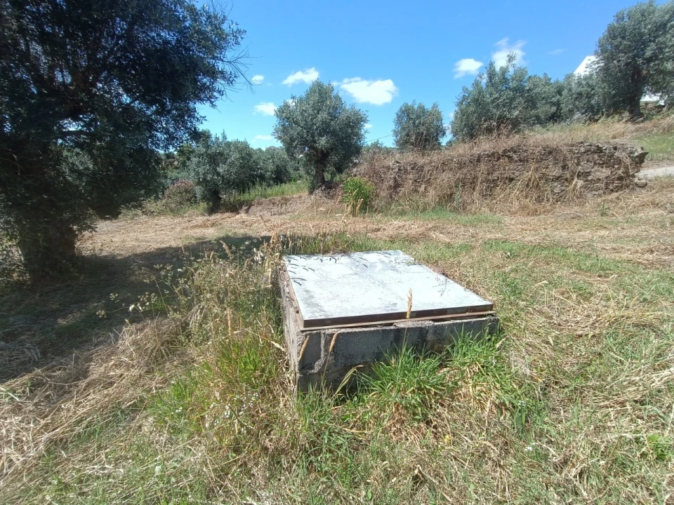 Terreno para Venda em Sardoal Foto 3