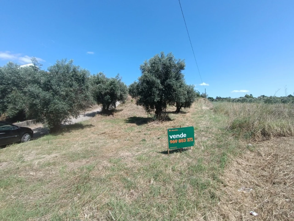 Terreno para Venda em Sardoal Foto 4