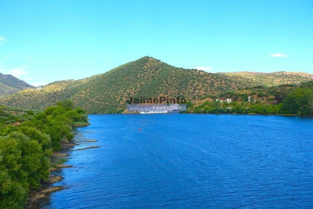 Moradia T5 para Venda em Escalhão Foto 9