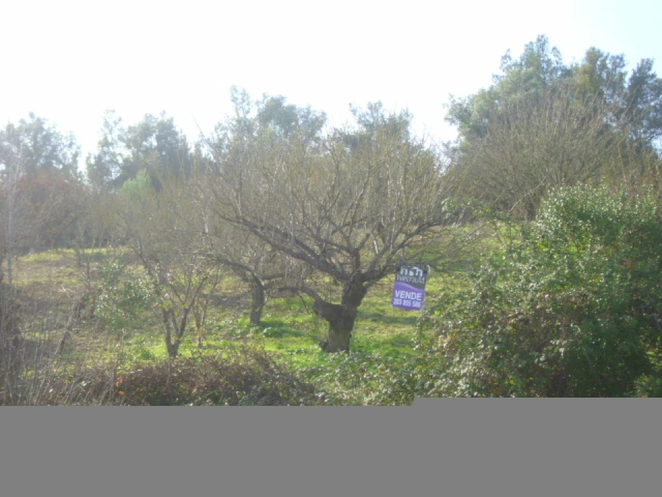 Terreno para Venda em Alenquer (Santo Estêvão e Triana) Foto 3