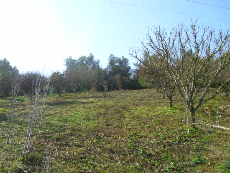Terreno para Venda em Alenquer (Santo Estêvão e Triana) Foto 5