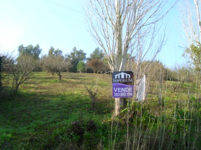 Terreno para Venda em Alenquer (Santo Estêvão e Triana) Foto 2