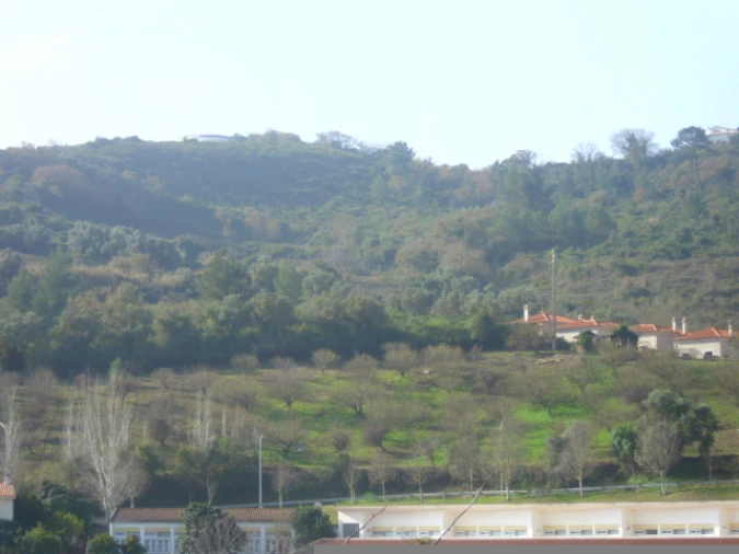 Terreno para Venda em Alenquer (Santo Estêvão e Triana) Foto 10