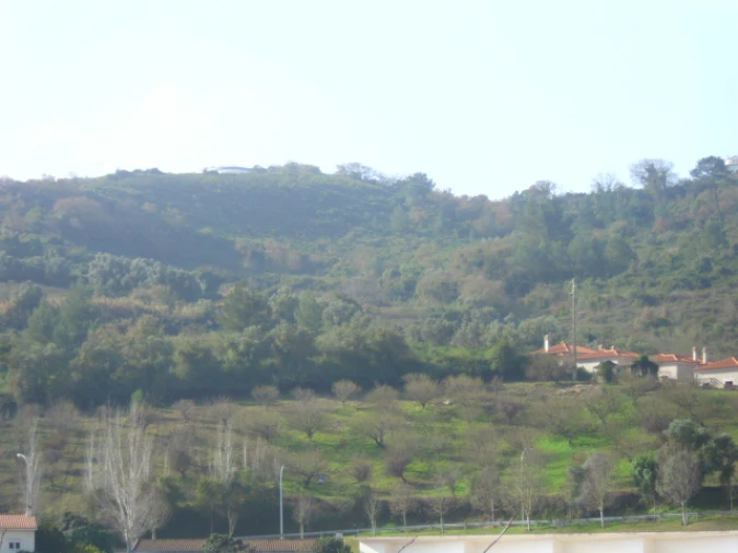 Terreno para Venda em Alenquer (Santo Estêvão e Triana) Foto 11
