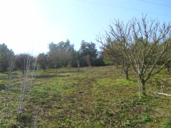 Terreno para Venda em Alenquer (Santo Estêvão e Triana) Foto 5