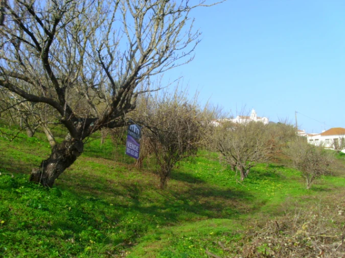 Terreno para Venda em Alenquer (Santo Estêvão e Triana) Foto 6