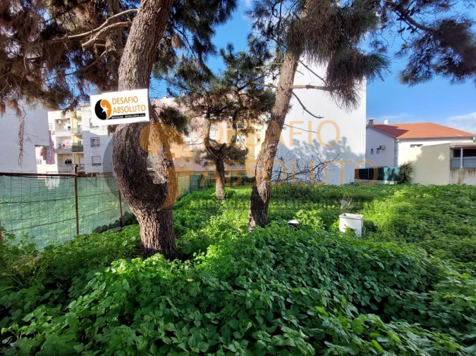 Terreno para Venda em Quinta do Conde Foto 4