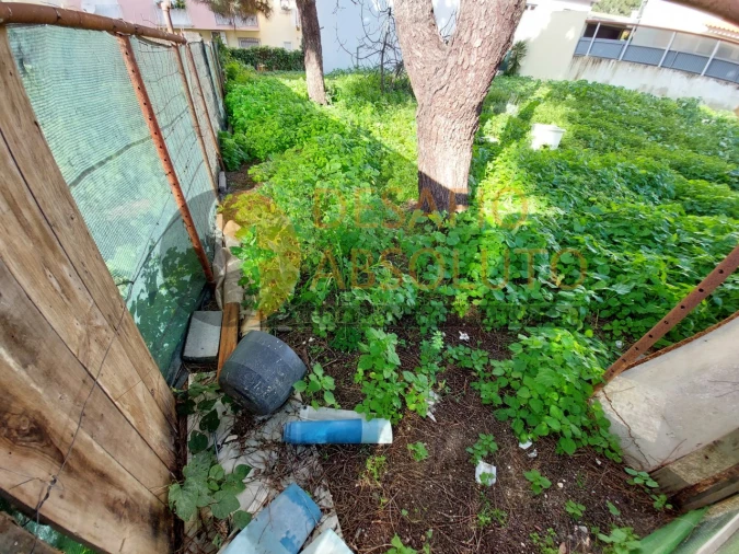 Terreno para Venda em Quinta do Conde Foto 6
