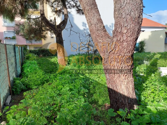 Terreno para Venda em Quinta do Conde Foto 7