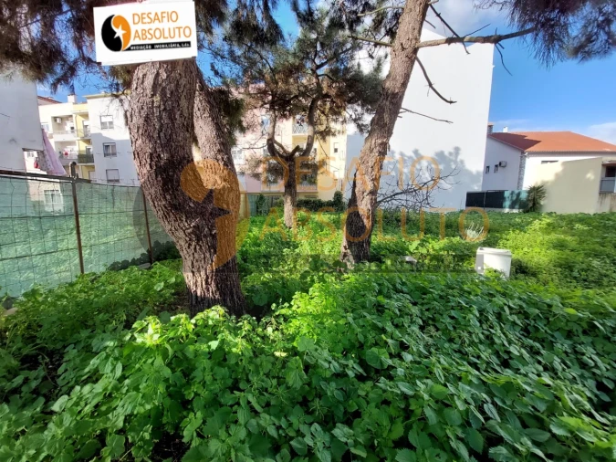 Terreno para Venda em Quinta do Conde
