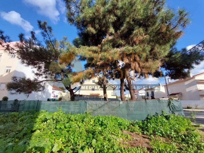 Terreno para Venda em Quinta do Conde Foto 2