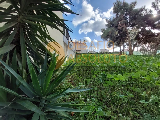 Terreno para Venda em Quinta do Conde Foto 4