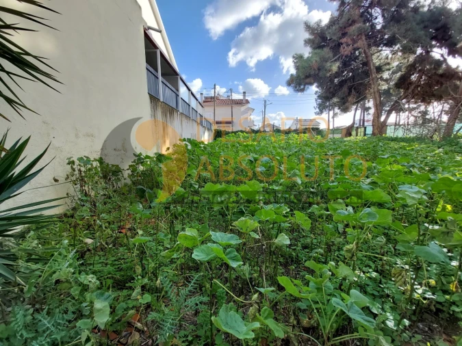 Terreno para Venda em Quinta do Conde Foto 6