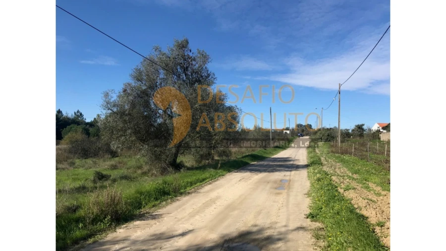Terreno Agricola ou Rústico para Venda em Poceirão e Marateca Foto 1