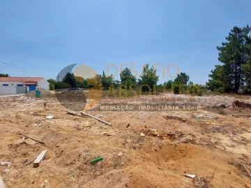 Terreno para Venda em Quinta do Anjo