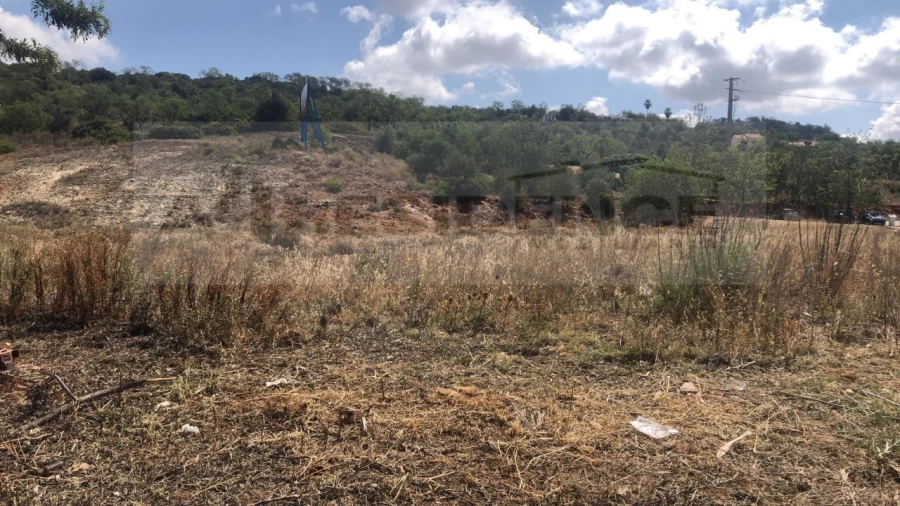 Terreno para Venda em Algoz e Tunes Foto 6