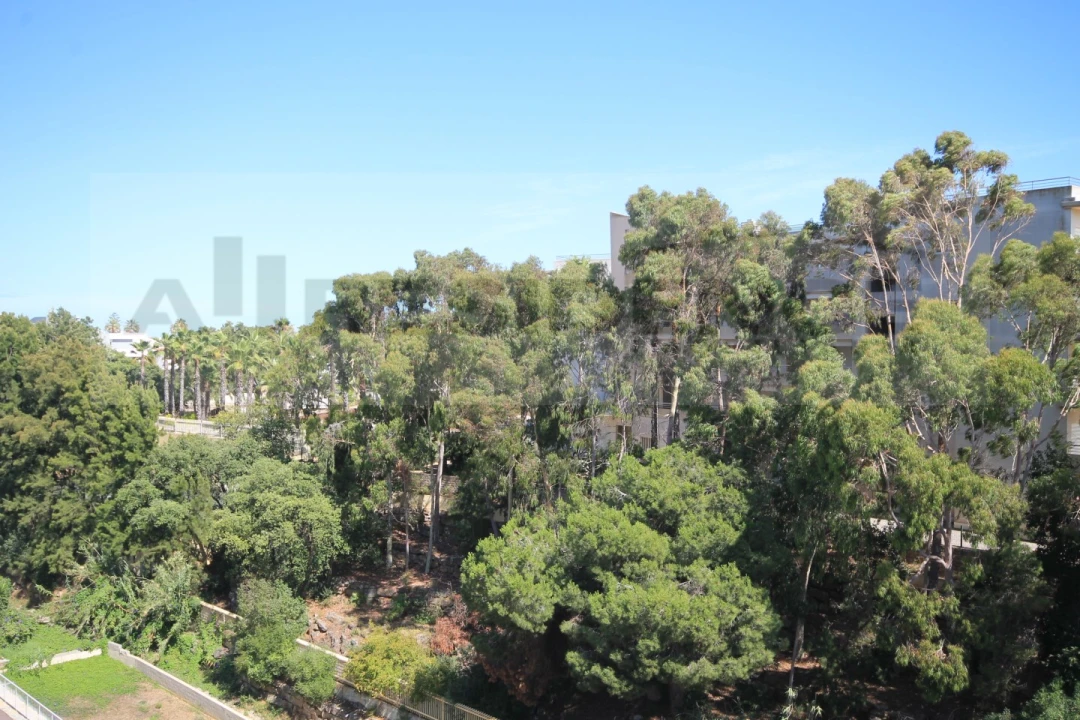 Apartamento T3 para Venda em Albufeira e Olhos de Água Foto 39