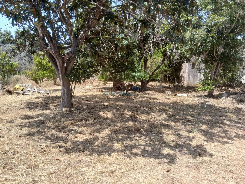 Quinta T5 para Venda em Santa Barbara de Nexe Foto 27