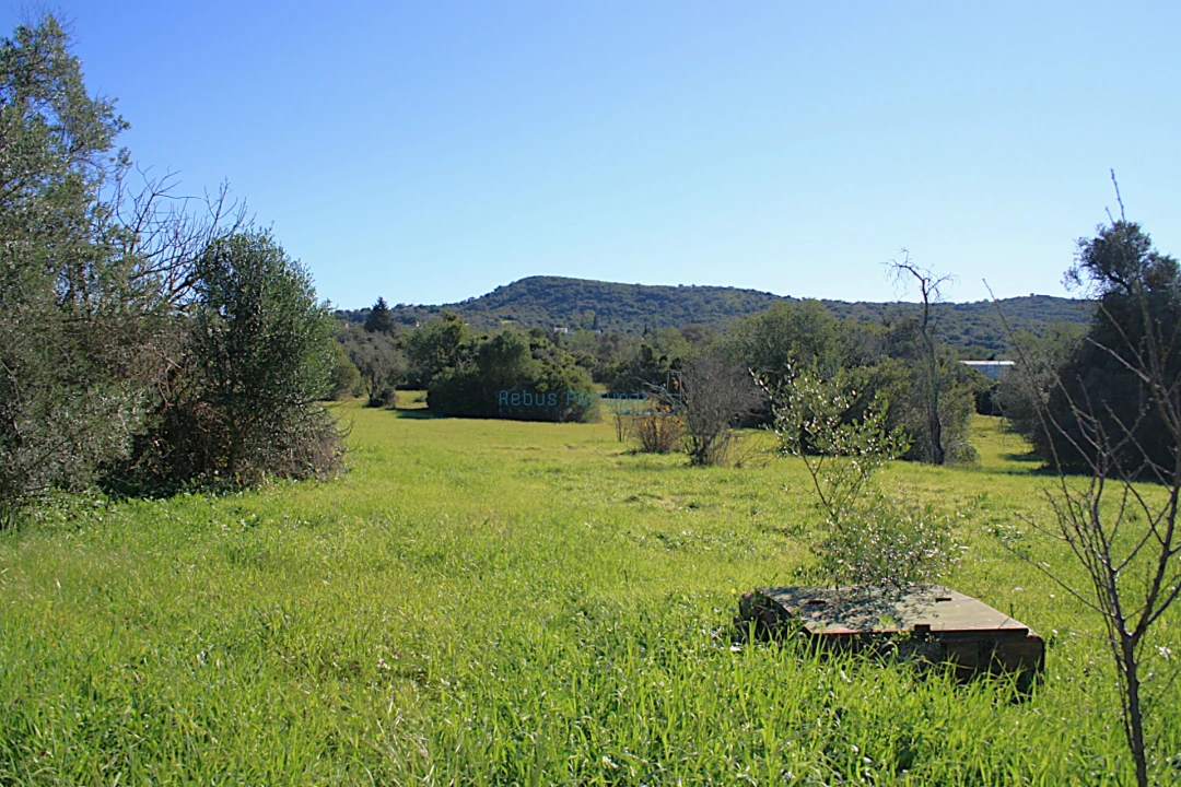 Quinta T5 para Venda em Santa Barbara de Nexe Foto 28