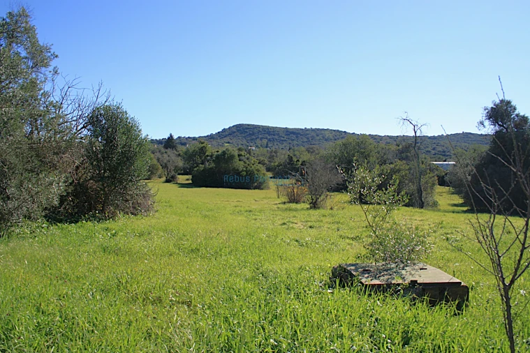 Quinta T5 para Venda em Santa Barbara de Nexe Foto 28