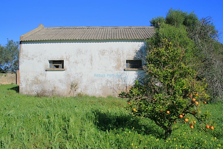 Quinta T5 para Venda em Santa Barbara de Nexe Foto 26