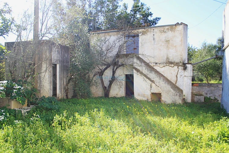 Quinta T5 para Venda em Santa Barbara de Nexe Foto 21