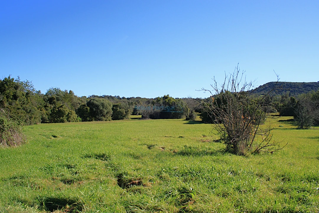 Quinta T5 para Venda em Santa Barbara de Nexe Foto 2