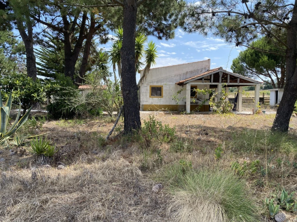 Terreno Misto para Venda em Sesimbra (Castelo) Foto 3