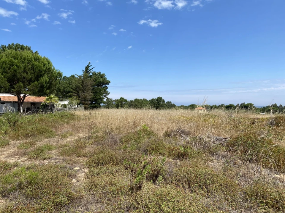 Terreno Misto para Venda em Sesimbra (Castelo) Foto 8