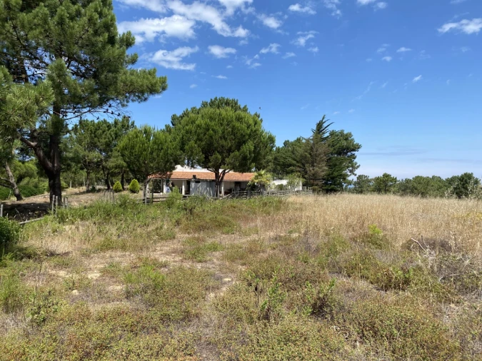 Terreno Misto para Venda em Sesimbra (Castelo)