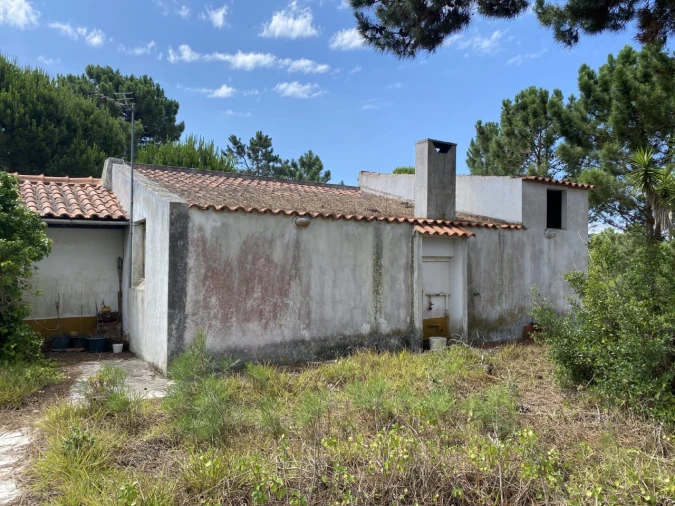 Terreno Misto para Venda em Sesimbra (Castelo) Foto 9