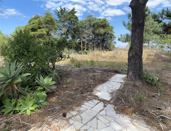 Terreno Misto para Venda em Sesimbra (Castelo) Foto 10