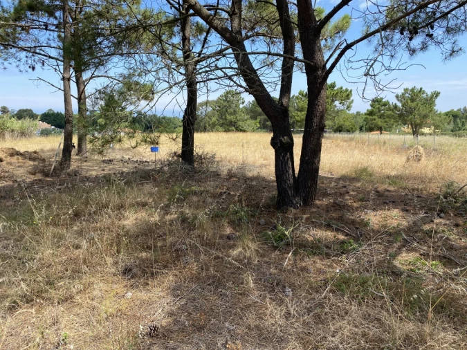 Terreno Misto para Venda em Sesimbra (Castelo) Foto 12